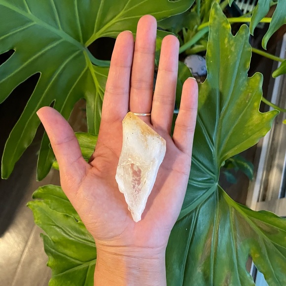 The Gift of Happiness - Picture 7 of 8